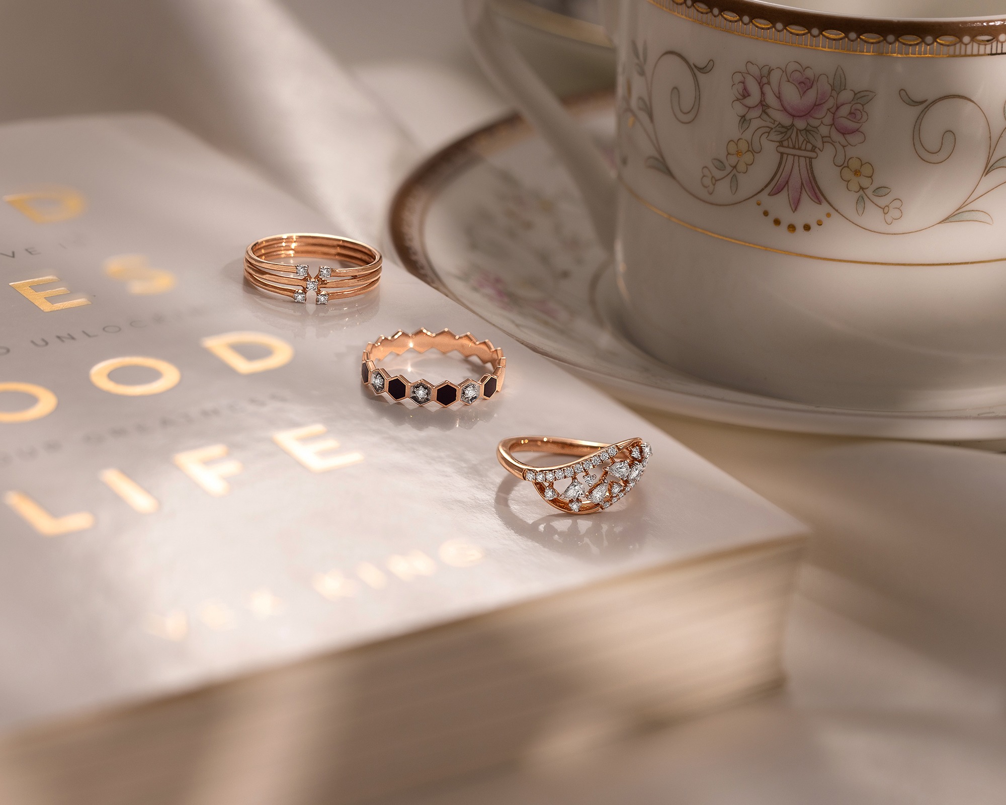 christmas & new year offer