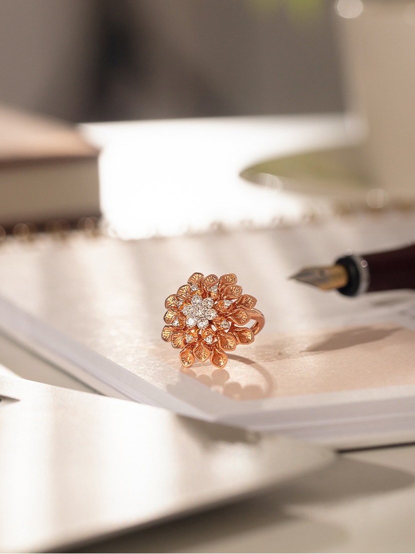 new year discount offer